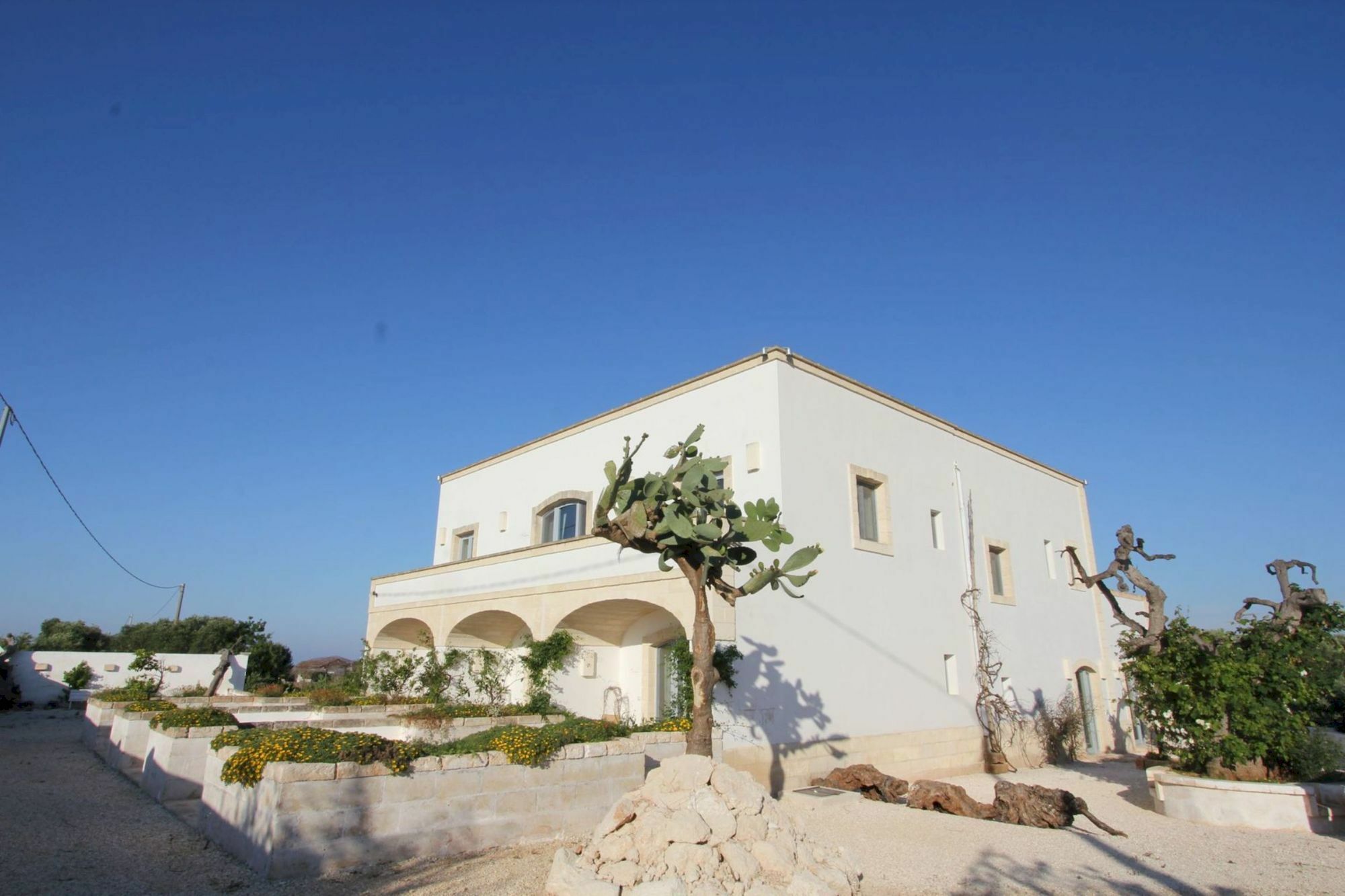Masseria Lama Di Coccaro Savelletri Ngoại thất bức ảnh