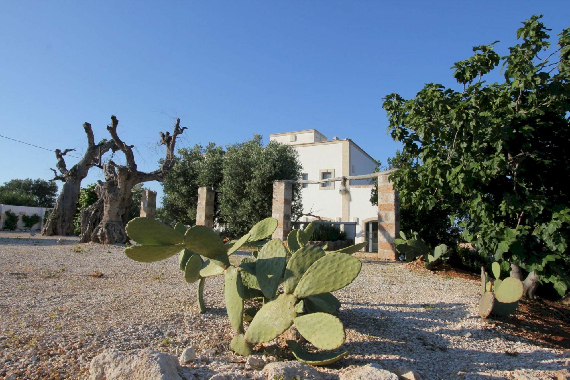 Masseria Lama Di Coccaro Savelletri Ngoại thất bức ảnh